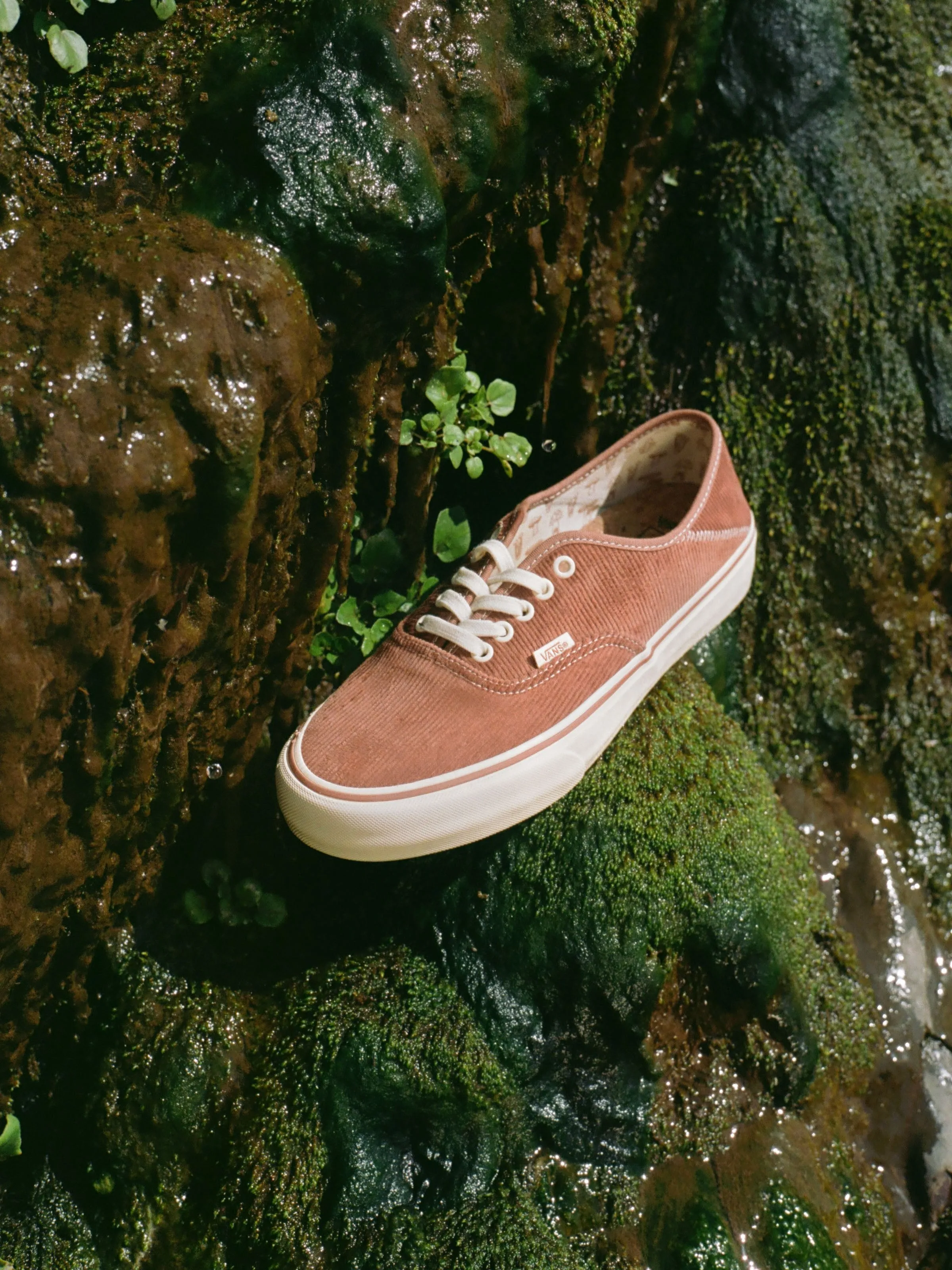 Vans / Mollusk Authentics SF