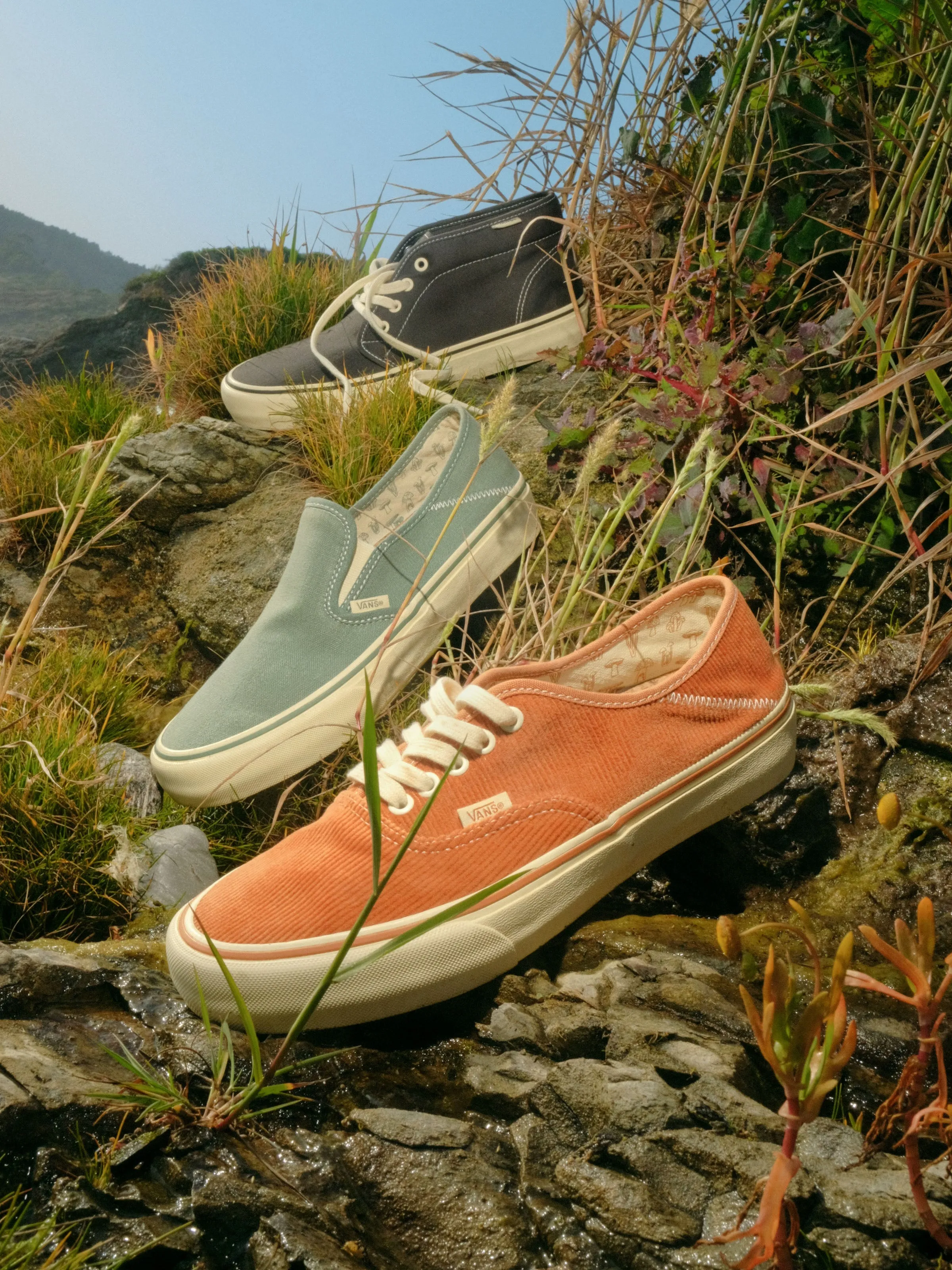 Vans / Mollusk Authentics SF